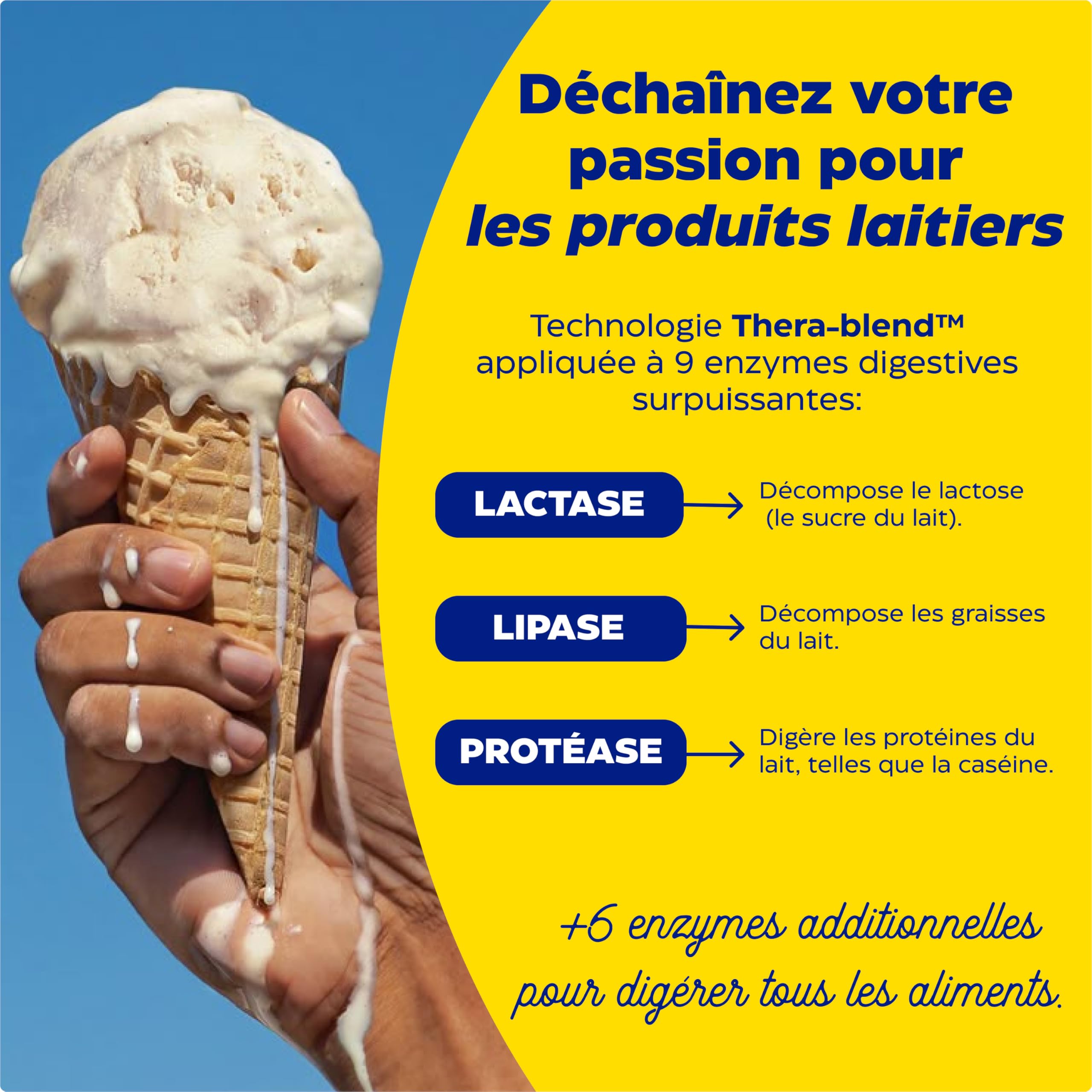 Enzymedica, Lacto, Formule Enzymatique Pour L'Intolérance Au Lactose Et À La Caséine, Indiqué Contre La Contamination Croisée, Sans Gluten, Sans Produits Laitiers, Végétalien, 90 Capsules