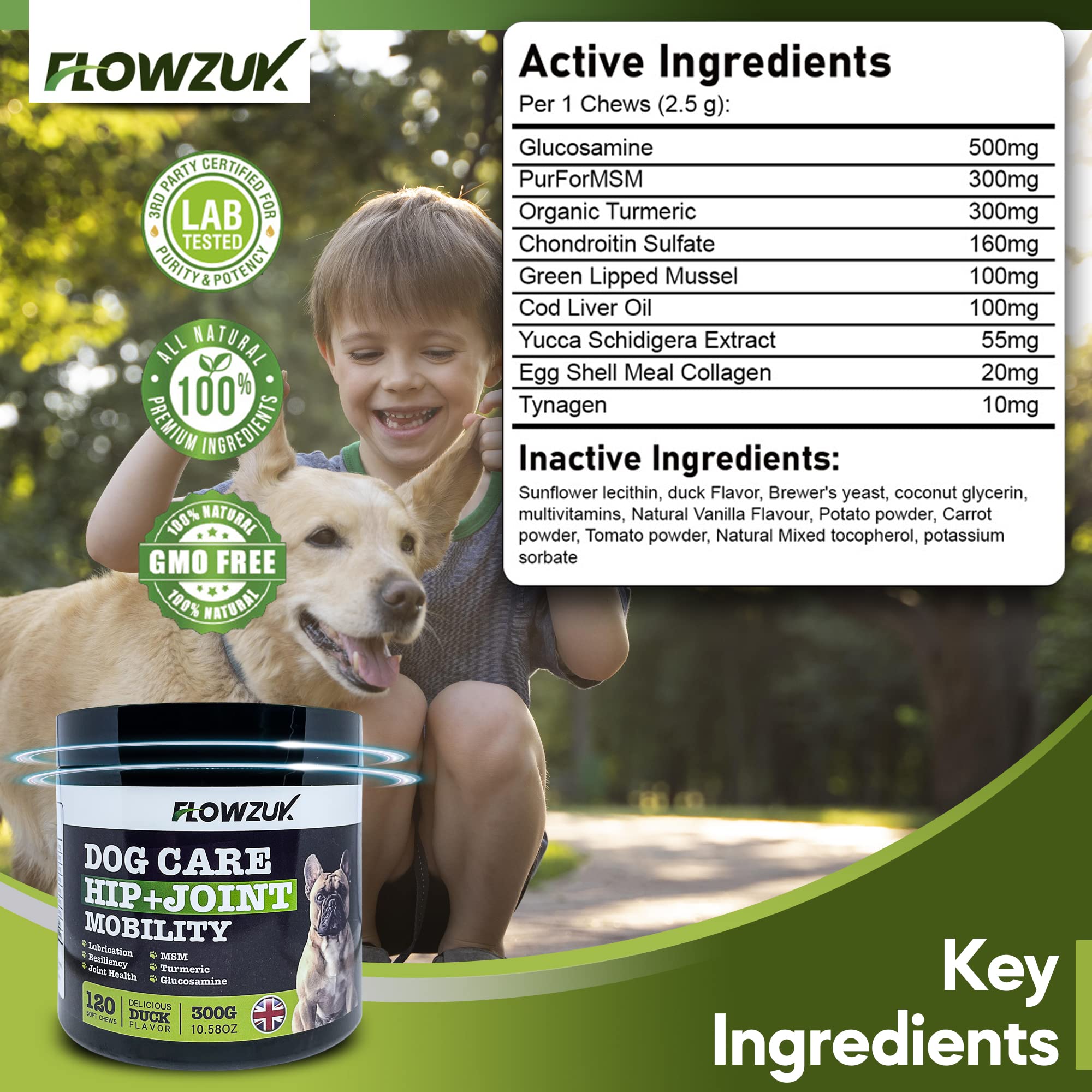 Flowzuk Dog Care Supplement, All-Natural Hip and Joint Supplements for Dogs, Dog Joint Itch Chews with Glucosamine, Turmeric - Image 3