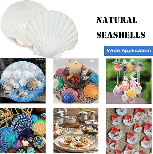 Miniatura 5 de 12 conchas de vieira naturales grandes de 4 a 5 pulgadas, conchas marinas blancas para manualidades, pintura a mano, fiestas temáticas oceánicas y