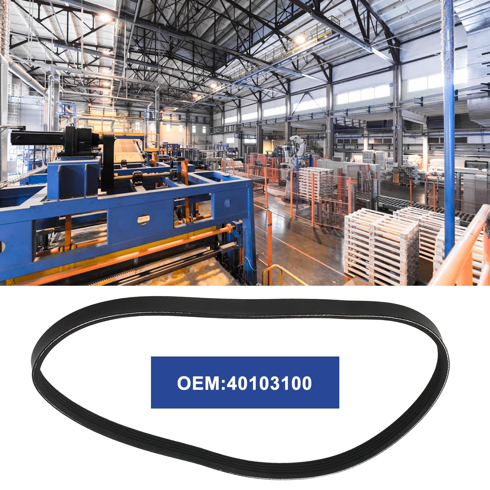 Correa de Transmisión 5PJ610 5 Nervaduras 610mm Repuesto Industrial