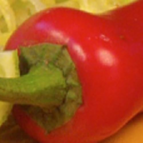 Bobby Salazar's - //medicalbooks.filipinodoctors.org