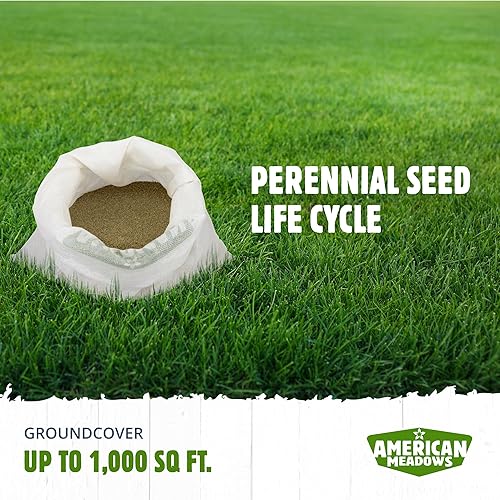 Miniatura 3 de American Meadows Semillas de césped y césped sin cortar, especialmente mezcladas, de bajo mantenimiento, crece raíces profundas, tolerante a la