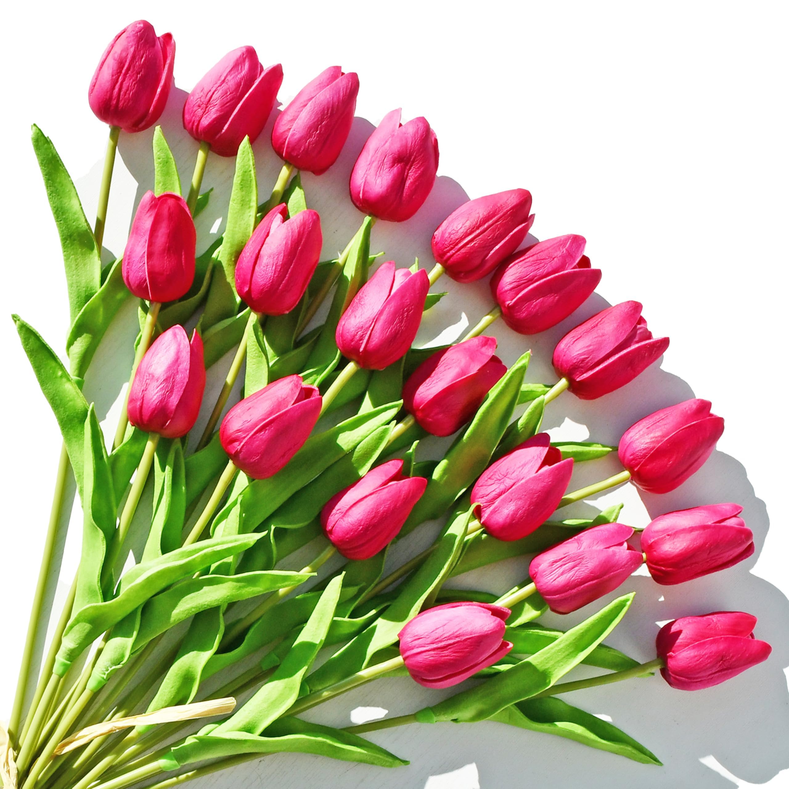 ONLY ART Hot Pink Tulips