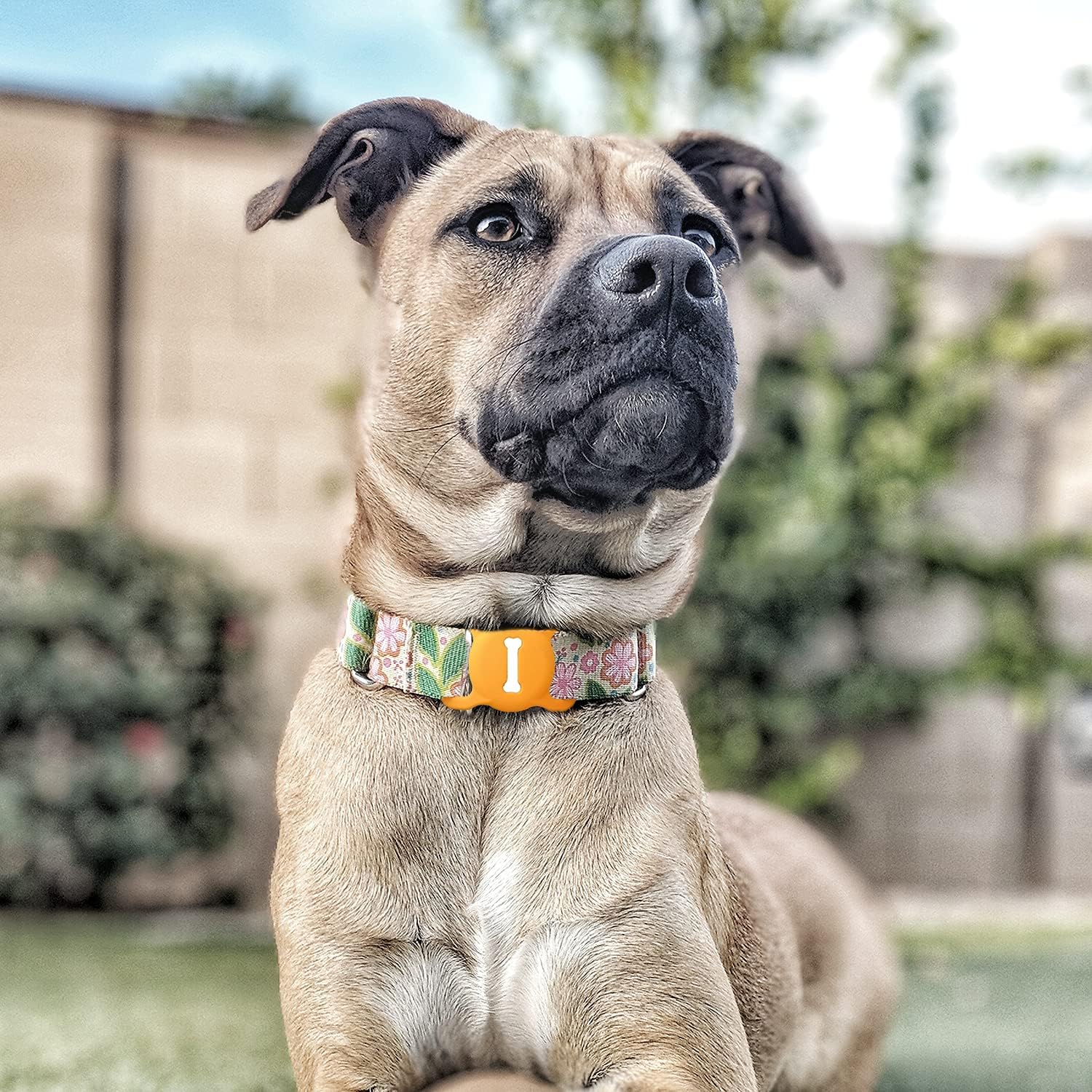 silicone protective case for airtag on dog collar lightweight soft gps tracker silicone holder cover for pets cat dog compatible with apple finder loc