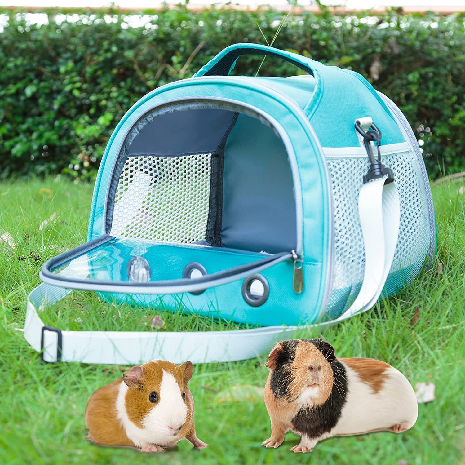 Small Pet Hamster Guinea Pig ... | Goods