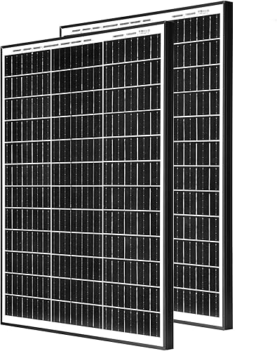 MEGSUN - Paneles solares monocristalinos de 200 W, 12 voltios, 2 unidades de 100 W, 22.8% de alta eficiencia monomódulo PV cargador de energía para