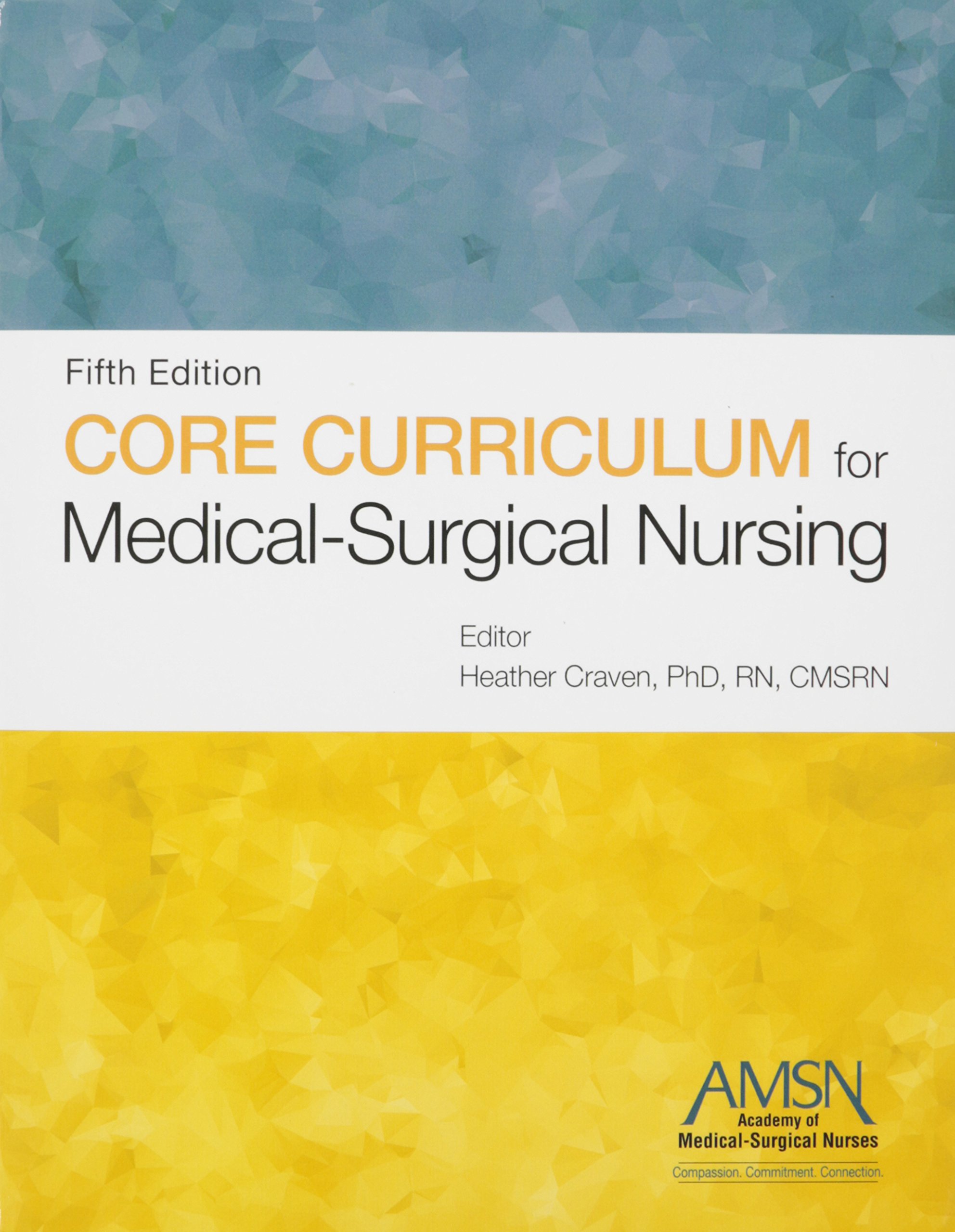 Core Curriculum for Medical-Surgical Nursing 5th Edition
