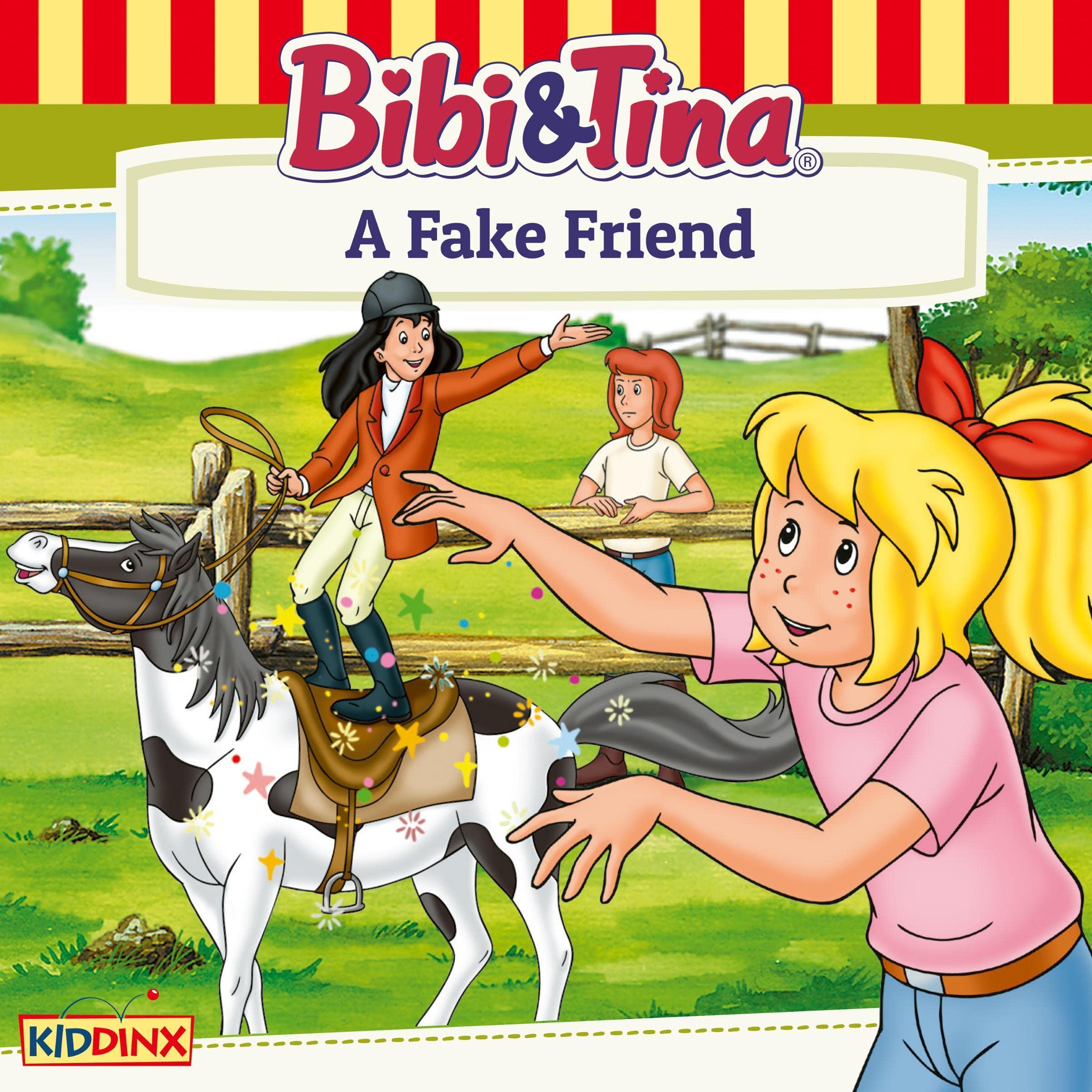 Cover art for A Fake Friend