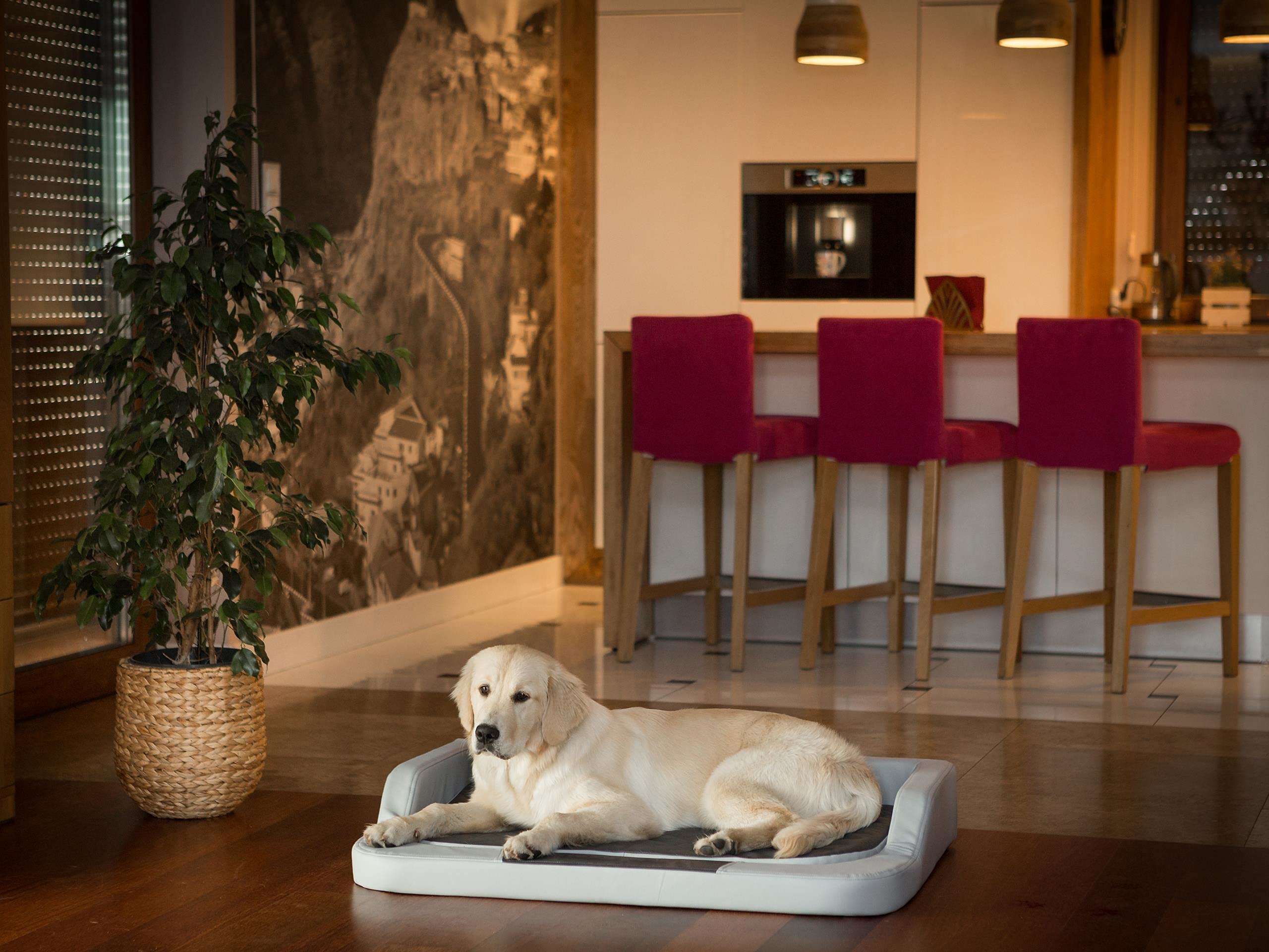Łóżko dla psa, legowisko dla psa, sofa, sofa dla psa, miejsce do odpoczynku, materac dla psa, kosze dla psa, doggybed, akcesoria dla psa, budka dla psa 94 x 62 cm