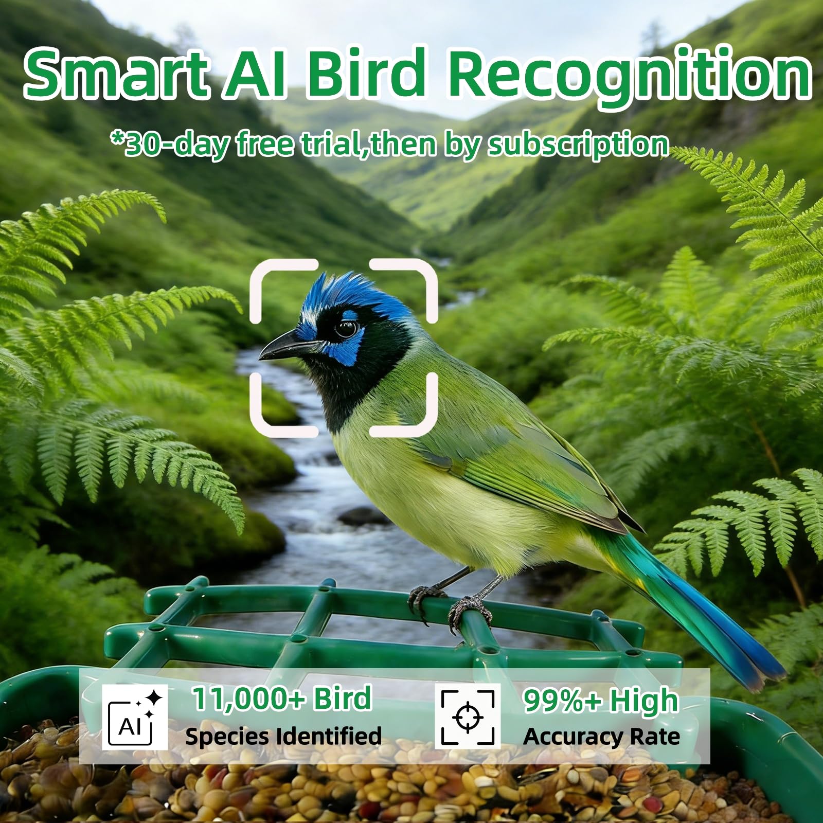 Bird Feeder with Camera, Squirrel Proof Bird Feeder Dual Solar Powered for Outdoors, AI Identify 11,000+ Birds, Real-Time Motion Detection,UHD Live Stream for Birdwatching-Gifts for Bird Lovers - 3