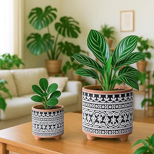 Miniatura 51 de D'vine Dev Juego de 2 macetas de terracota, 4 y 6 pulgadas, maceta de diseño con orificio de drenaje, selva monzónica, terracota/negro, 31-953-H-2