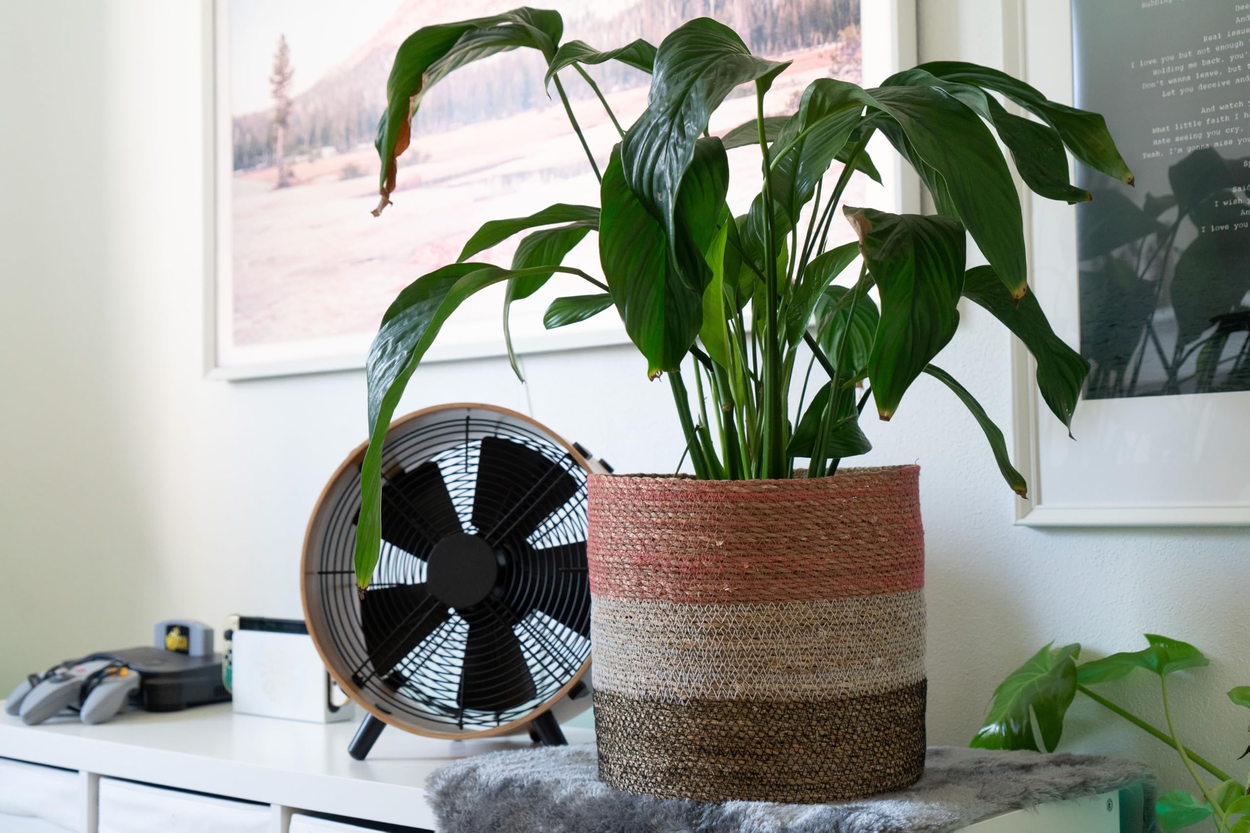 Decorasian Seegras Flower Pot, Decorative Pot, Braided