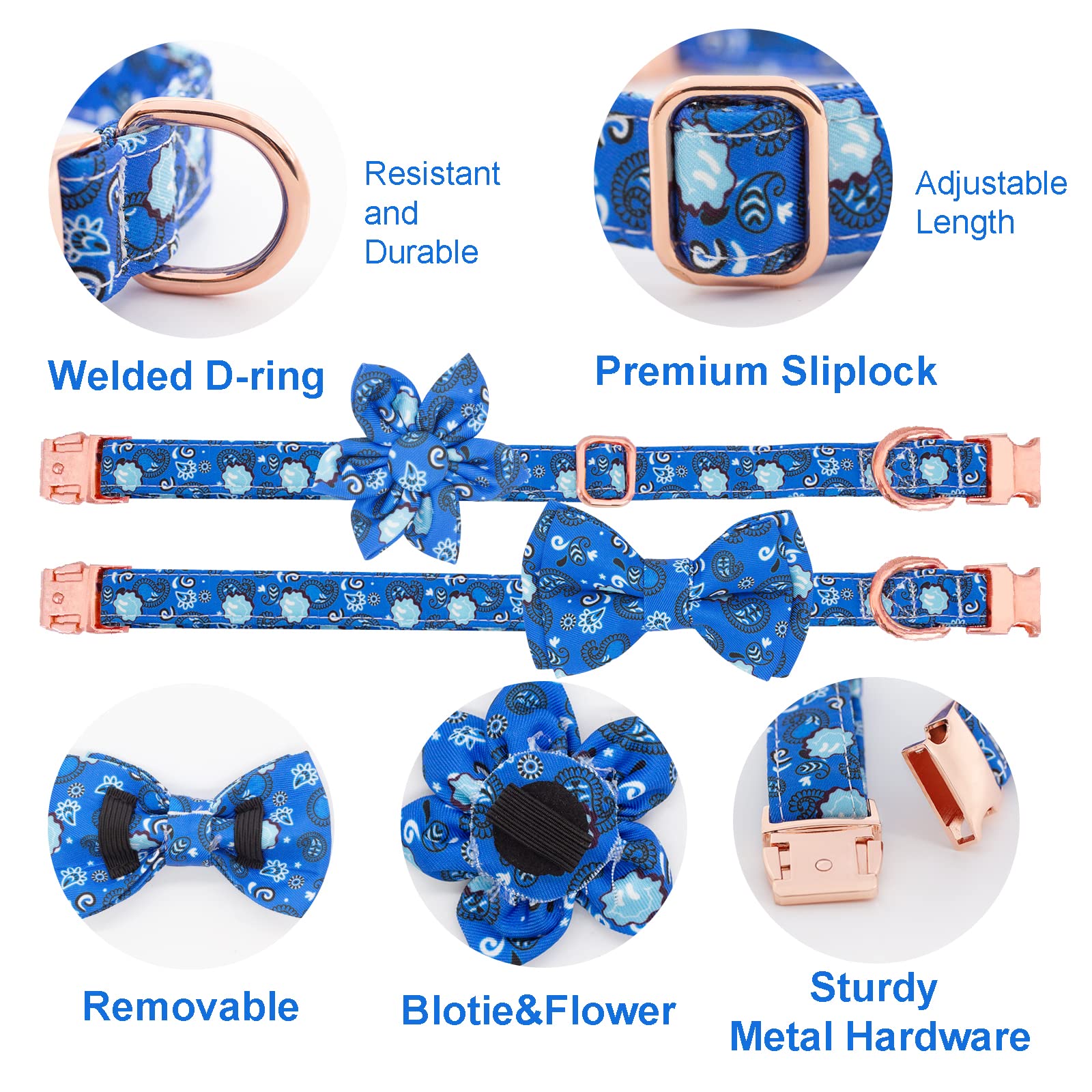 金色の首輪&リードセット Amazon | 犬の首輪とリードセット 調整可能な強力なゴールドバックル