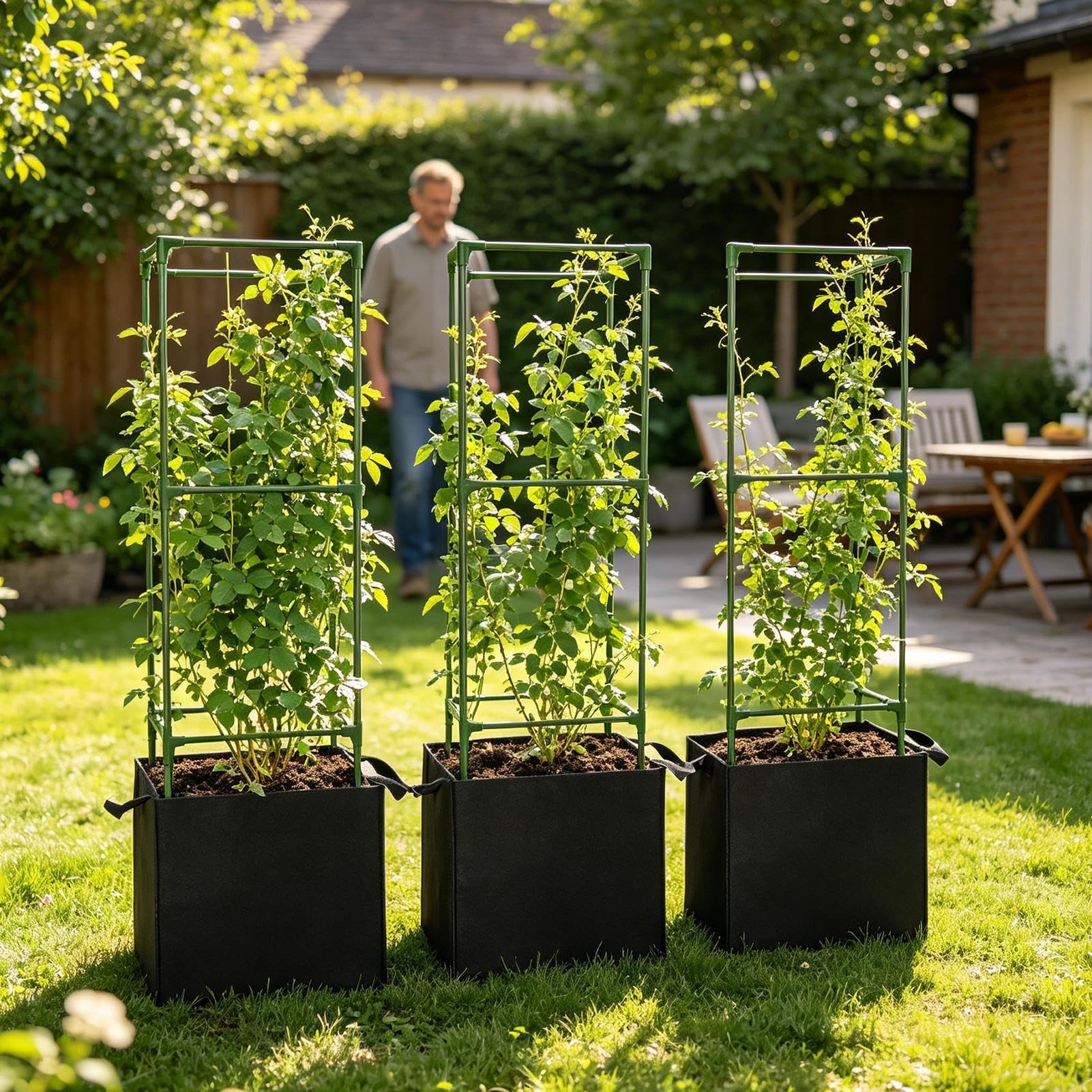 Generisch Tomaten-Stützkäfig Rostfreier Edelstahl, Rostbeständig Und Hoch | Quadratischer Tomatenstützkäfig als Pflanzenstütze für , Bohnen, Paprika, Auberginen, Terrasse, Garten, Hochbeet, Balkon und