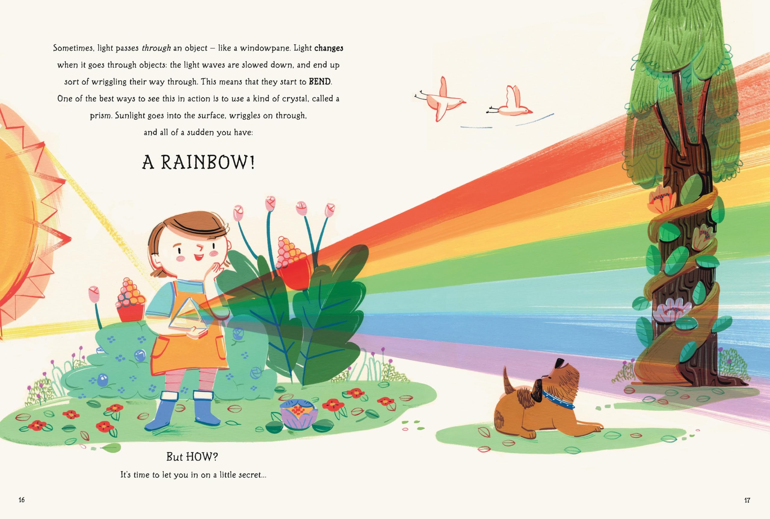 Light: The Extraordinary Energy That Illuminates Our World