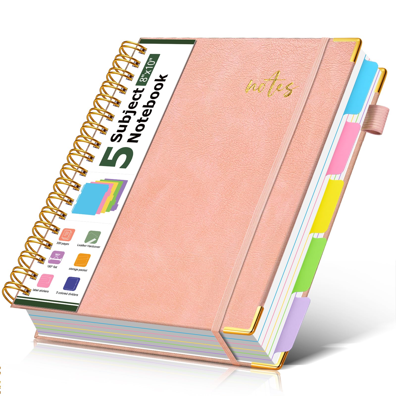 PAPEJOON 5 subject notebook college ruled B5 Pink โ image 1