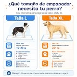 Ver la foto 6