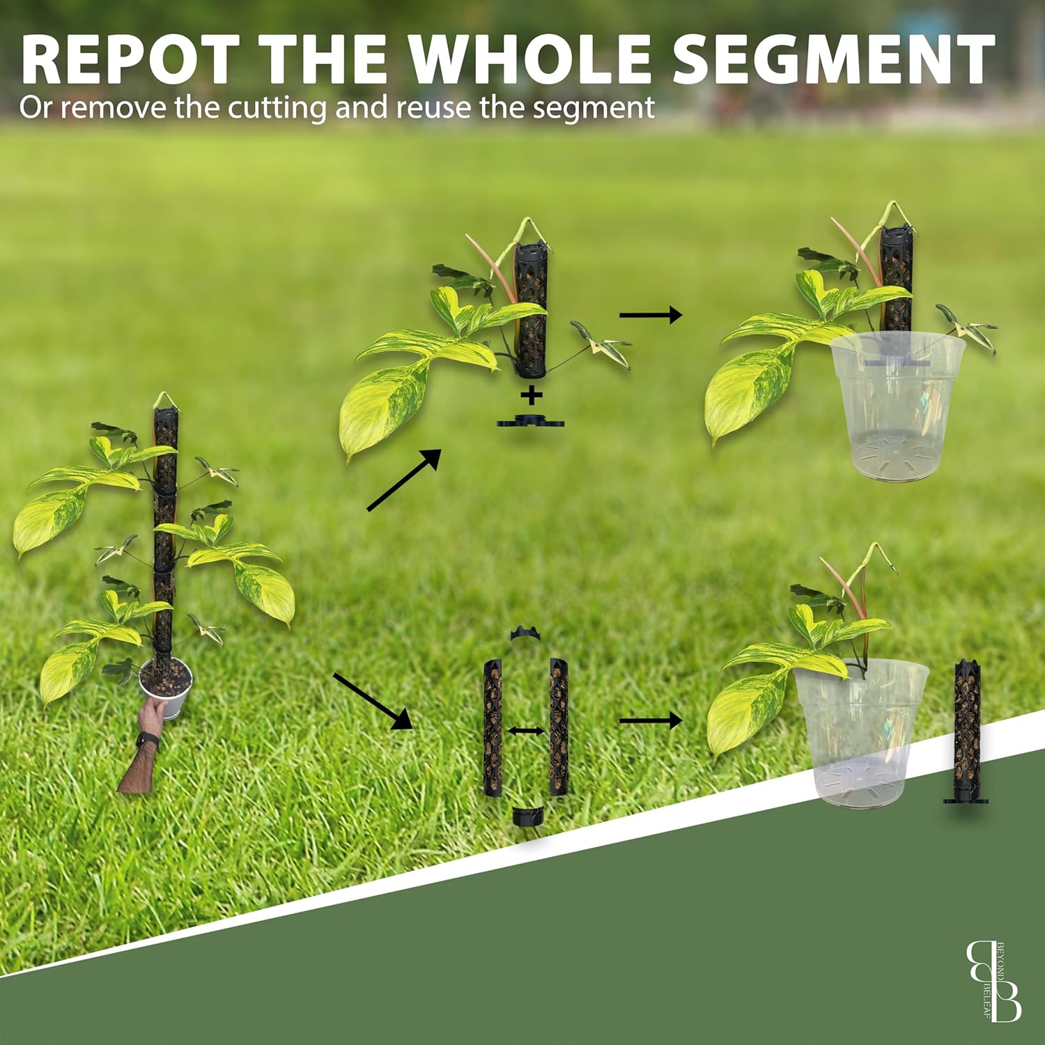 Professional Self-Watering Plant Support Pole for Plants to Climb up - Modular Extendable - Prefilled w/Coco Chips for Climbing Monstera - Beyond Beleaf - Propogation Tool - Moss Pole (Small)