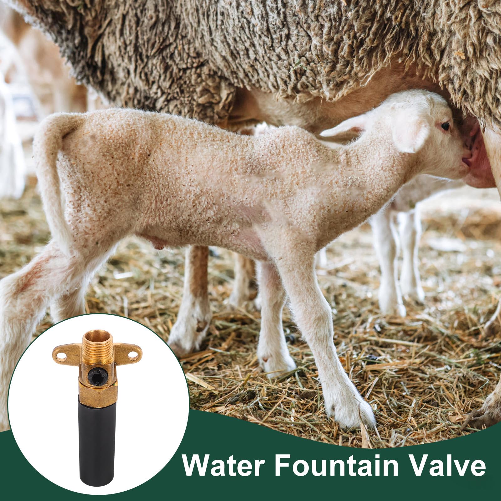 Levemolo Valvola Automatica per Abbeveratoio Bestiame Raccordo Erogatore Acqua, Ricambio per Ciotole per Bovini, Suini e Ovini in Impieghi Gravosi