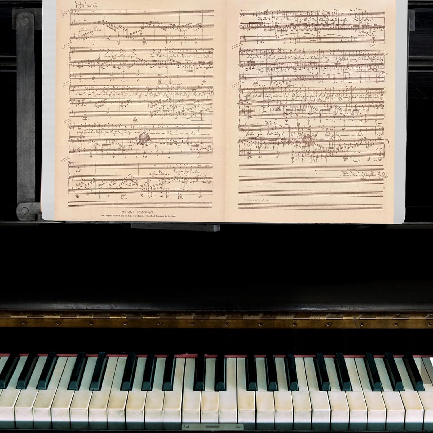 BESTonZON A3 Sheet Music Folder for Choir and Band 20-Page Plastic Music Sheet Holder for Performance and Practice
