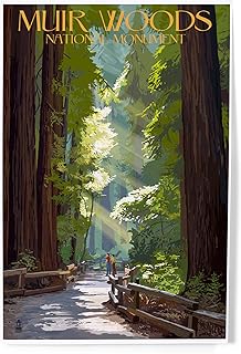 Lantern Press 8x12 Inch Art Print Wall Decor, Muir Woods National Monument, California, Pathway
