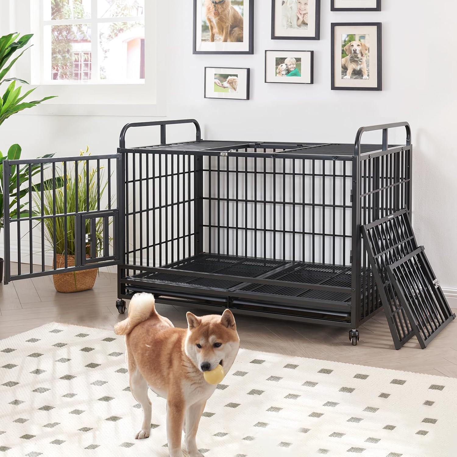 The Ultimate Comfort: Lauren&Harold 48" Heavy Duty Dog Crate Reviewed!