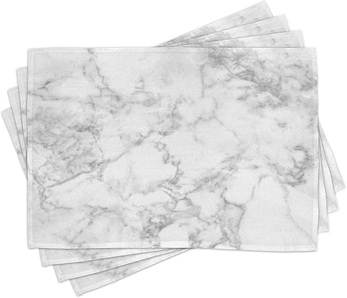 Ambesonne Juego de 4 manteles individuales con estampado de mármol, diseño de granito natural, efectos de rastro de manchas nubladas, imagen de