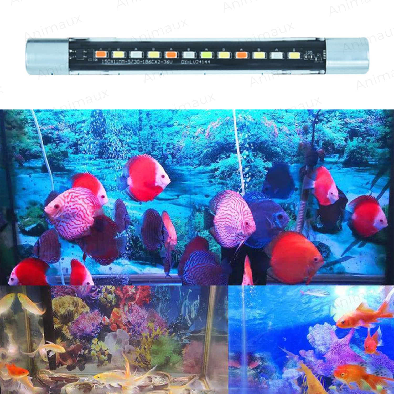 ANIMAUX Aquarium Submersible LED Light Multi Colour Changing Waterproof Submersible LED Light for Fish Tank (T4-50F | 5W | Light Length 47CM) (B0D6R22N5P) Amazon Price History, Amazon Price Tracker