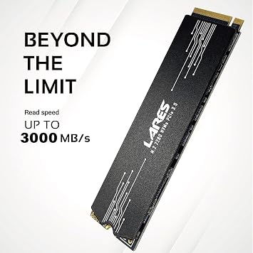 LEVEN JPS600 2TB PCIe NVMe Gen3x4 PCIe M.2 2280 SSD with Thermal Pad and Heat Sink