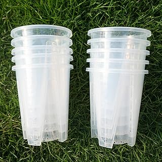 Clear Clear Breathable Orchid Pots