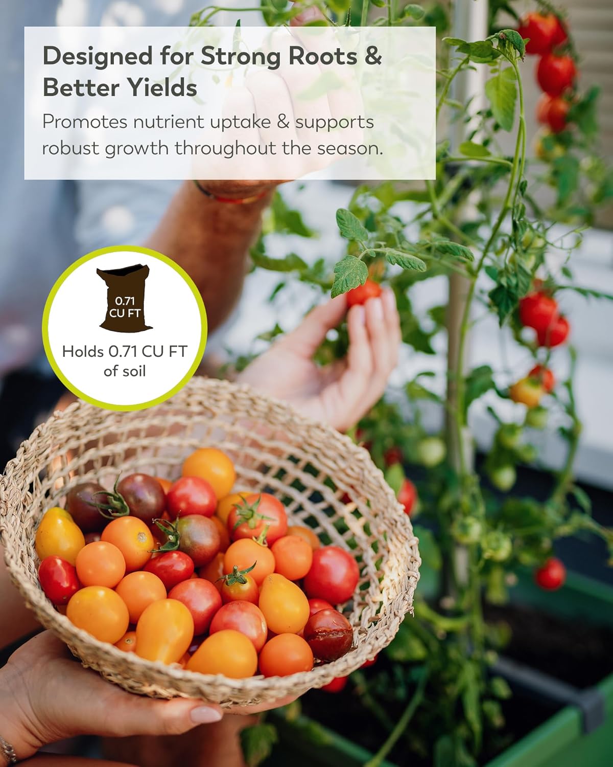 BUZZY Seeds Self-Watering Vertical Tomato Planter with Trellis – 1.2 Gal Reservoir, Large Capacity Planter for Tomatoes & Climbing Plants (Green)