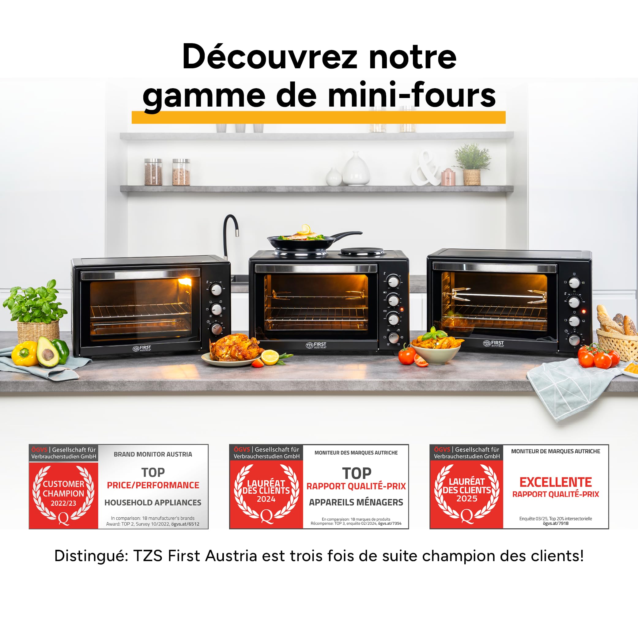 TZS First Austria - Mini-Four avec plaques de cuisson 60L 3200 W - Four à pizza jusqu'à 230°C et 6 modes de chauffage - Four multifonction avec 4 hauteurs d'insertion et accessoires de haute qualité