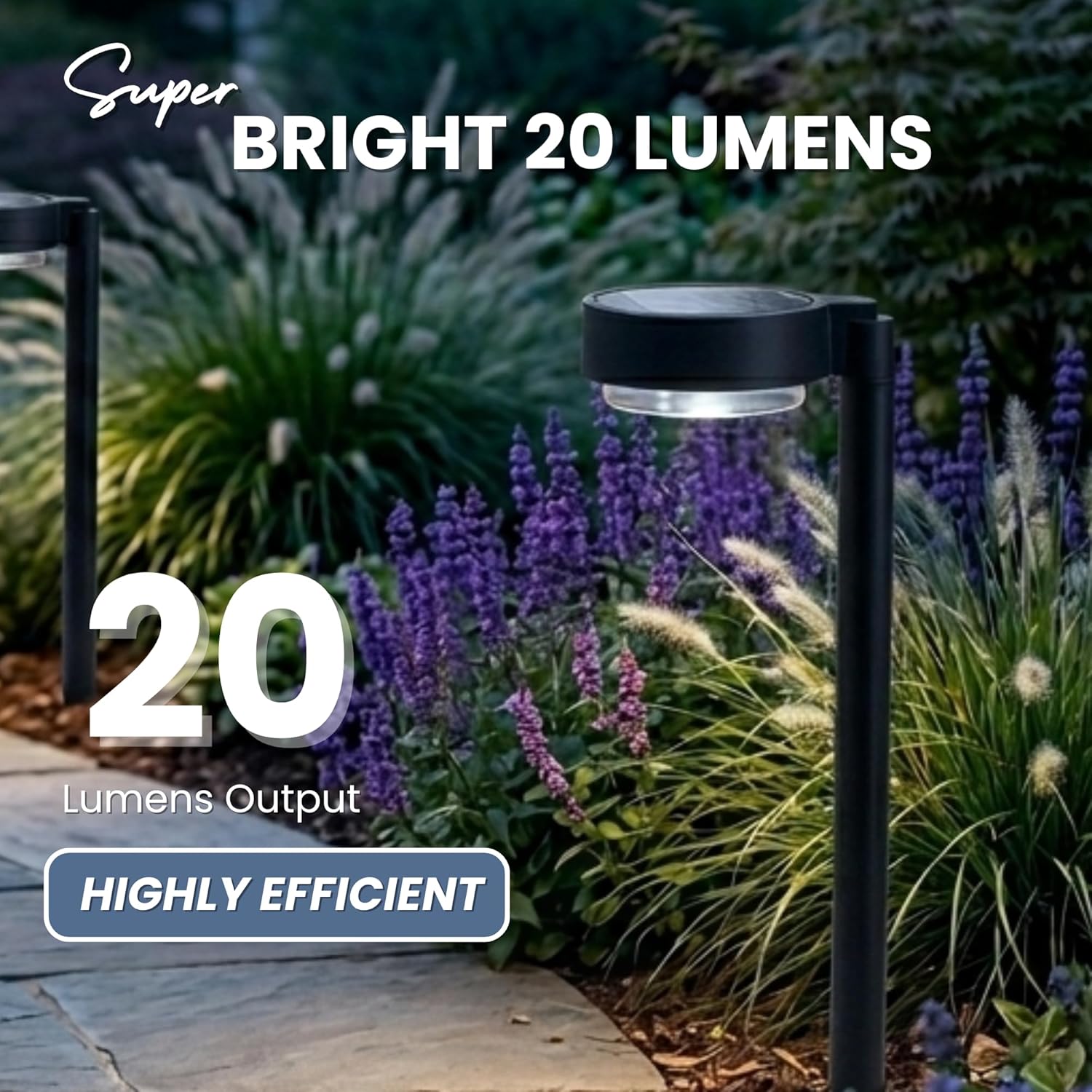 Energizer Outdoor Solar Garden Lights - 4 Pack IP65 Waterproof Solar Downlights with Aluminum Metal Construction, Easy to Install LED Solar Lights for Outside Front Yard Decor & Patio Lighting