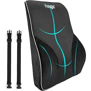 Lumbar Support Pillow/Back Cushion, Memory Foam Orthopedic Backrest for Car Seat, Office/Computer Chair and Wheelchair,Breathable & Ergonomic Design for Back Pain Relief