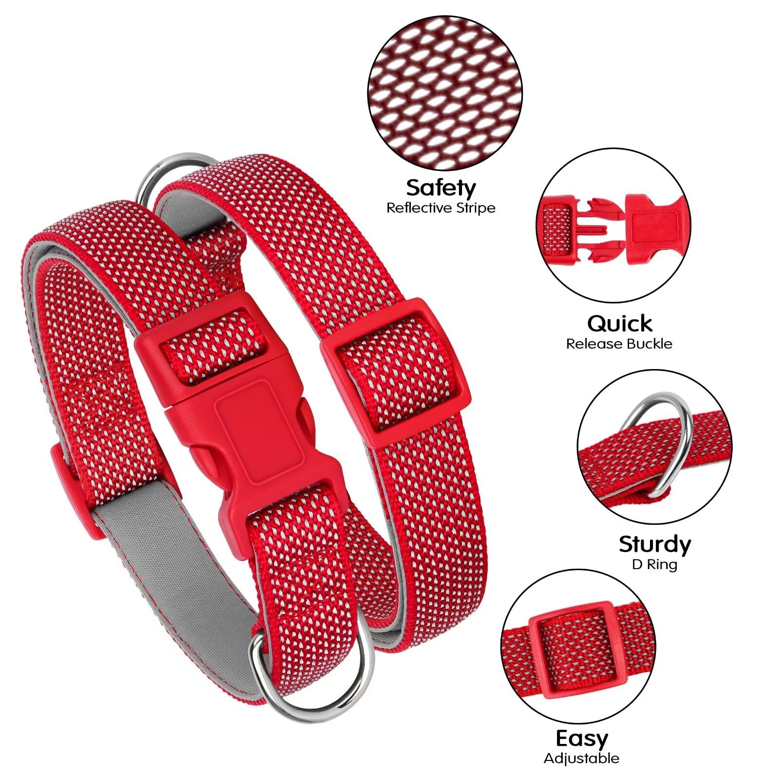 Reflektierendes Hundehalsband – Nylon Mit Neopren-Polster, Verstellbar 40–60 Cm | Für Kleine & Mittlere Hunde
