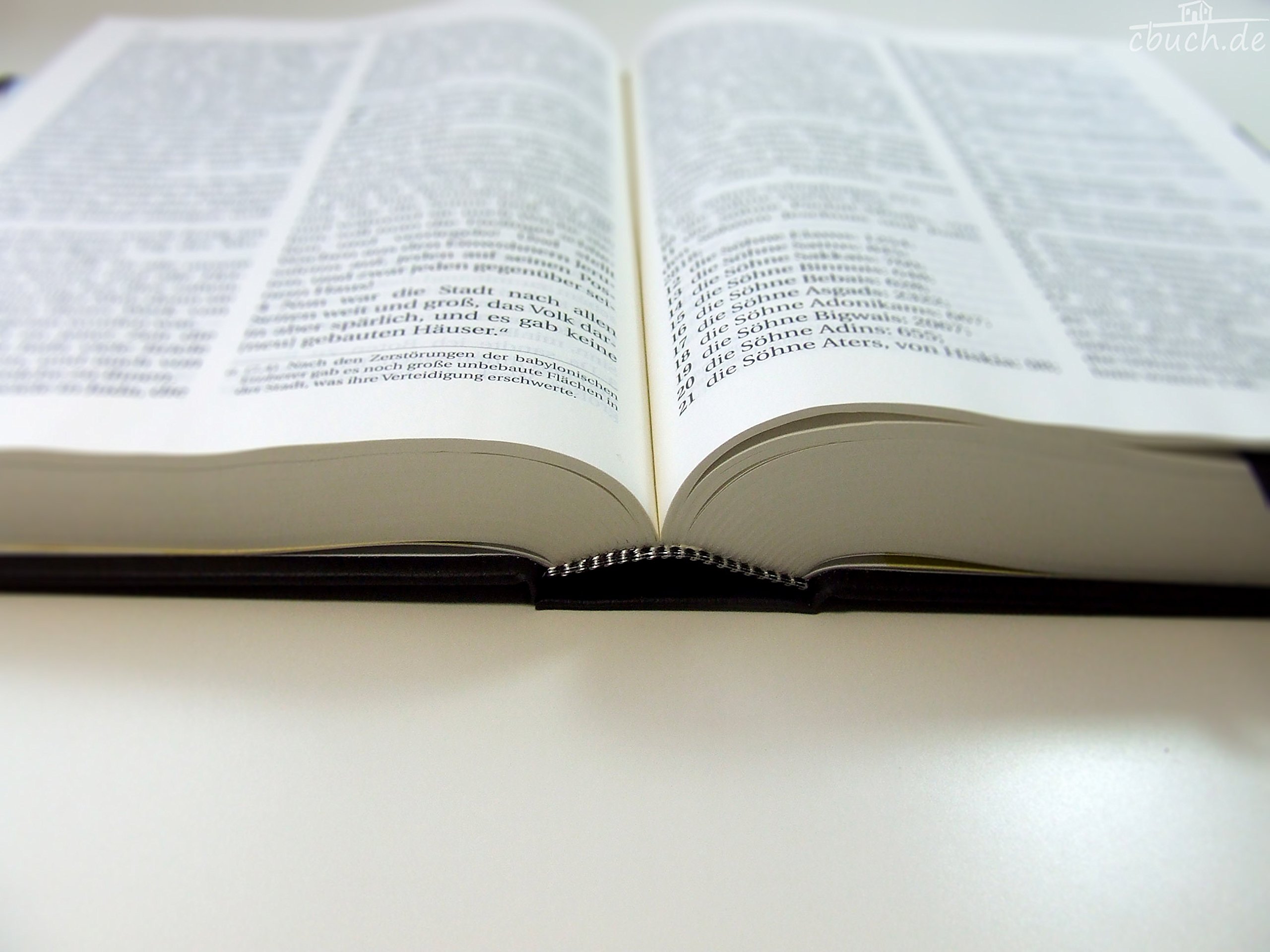 Schlachter 2000 Bibel - Großdruckausgabe (Hardcover, schwarz): Großdruckausgabe, Cover schwarz / Fadenheftung / ohne Parallelstellen