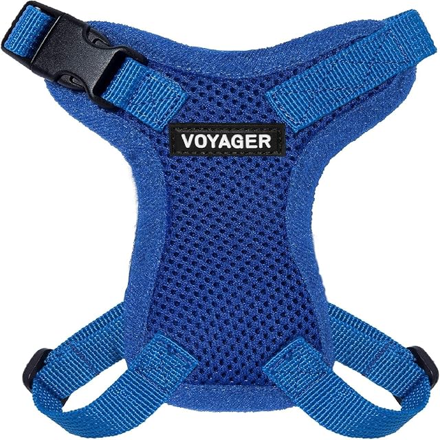 Best Pet Supplies Voyager Step-in Lock