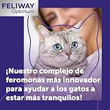 Ver la foto 3