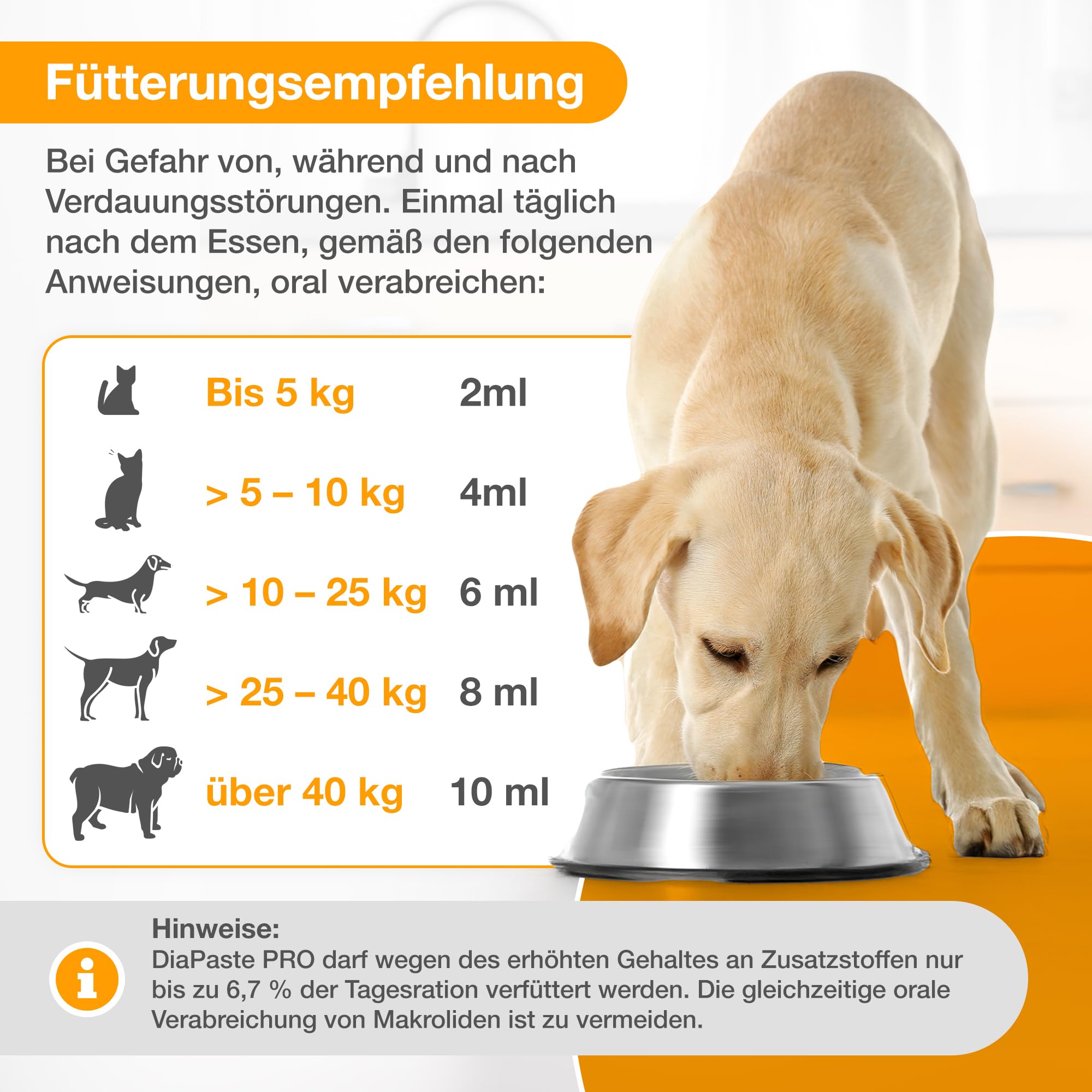 Alfavet DiaPaste Pro mit Injektor | 60 ml | Diät-Ergänzungsfuttermittel für Hunde und Katzen | Prä-/Probiotikum zur Stabilisierung der physiologischen Verdauung & der Darmflora