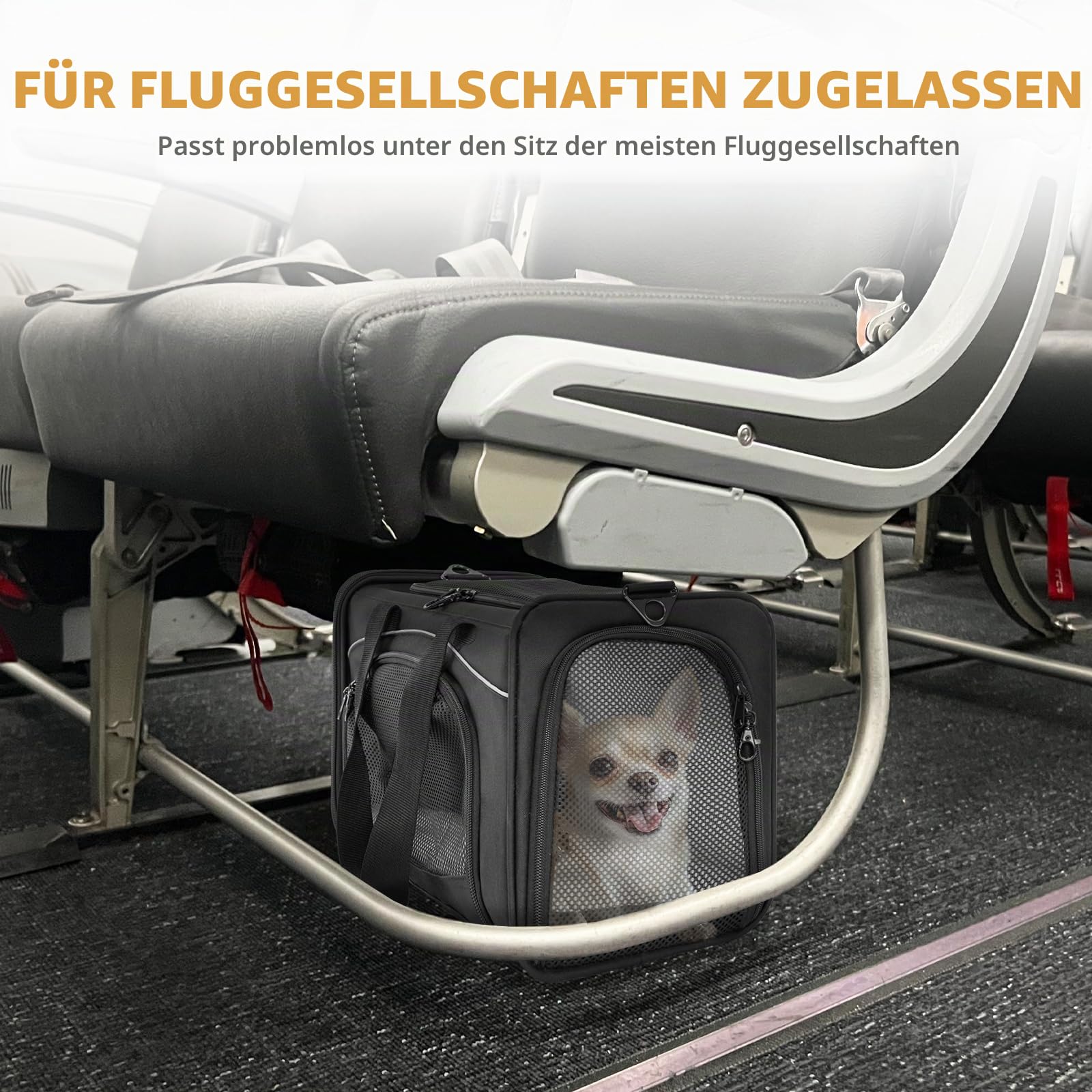 Petsfit Transporttasche Hunde und Katze, Katzentransportbox Hunde Katze Flugtasche für Haustiere im Auto Flugzeug oder in der Bahn