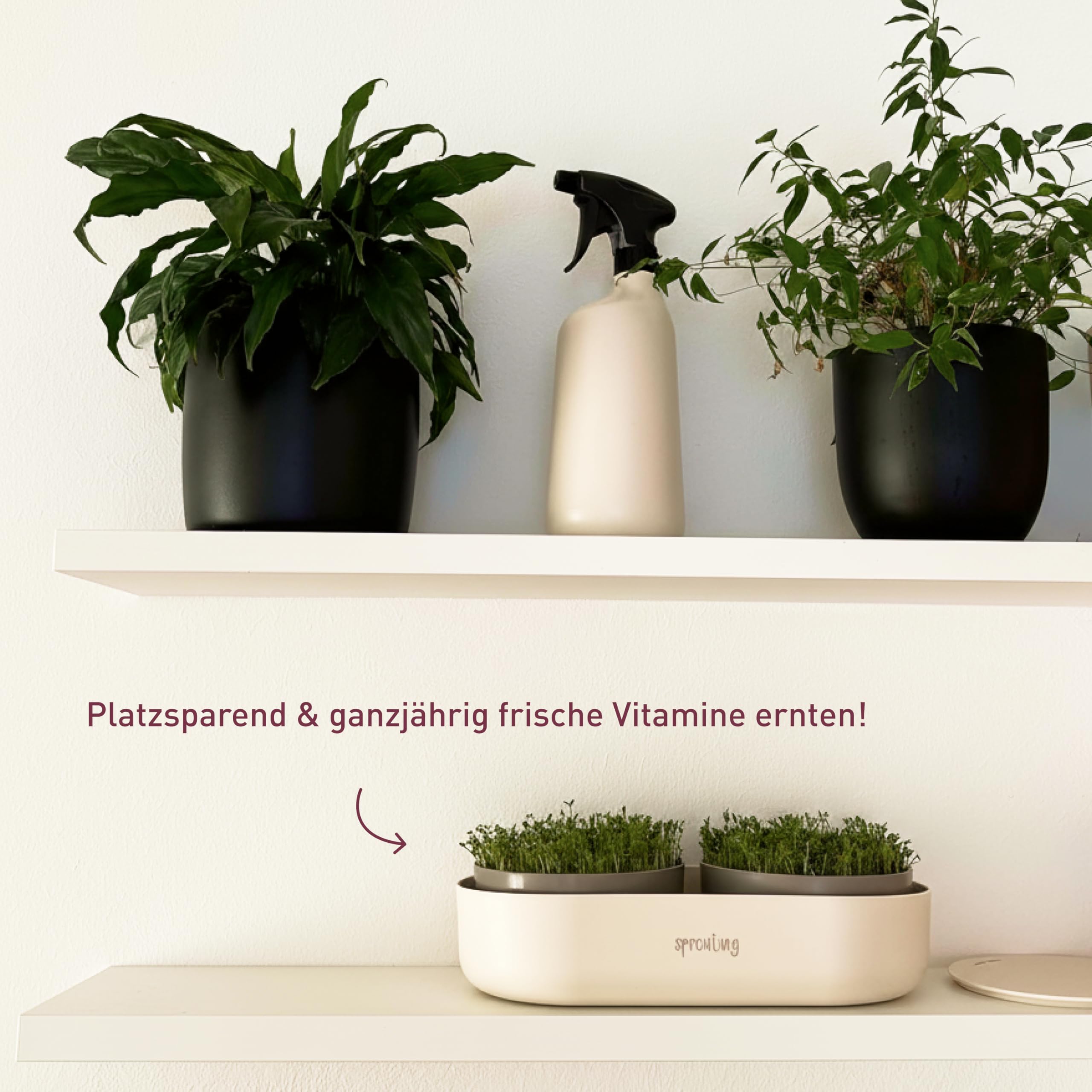 Plantura Bio-Sprossen Anzucht-Set (Komplett), keimstarkes Bio-Saatgut, für Sprossen & Microgreens, BPA-frei & spülmaschinengeeignet, 4 Sorten, bis zu 36 Ernten