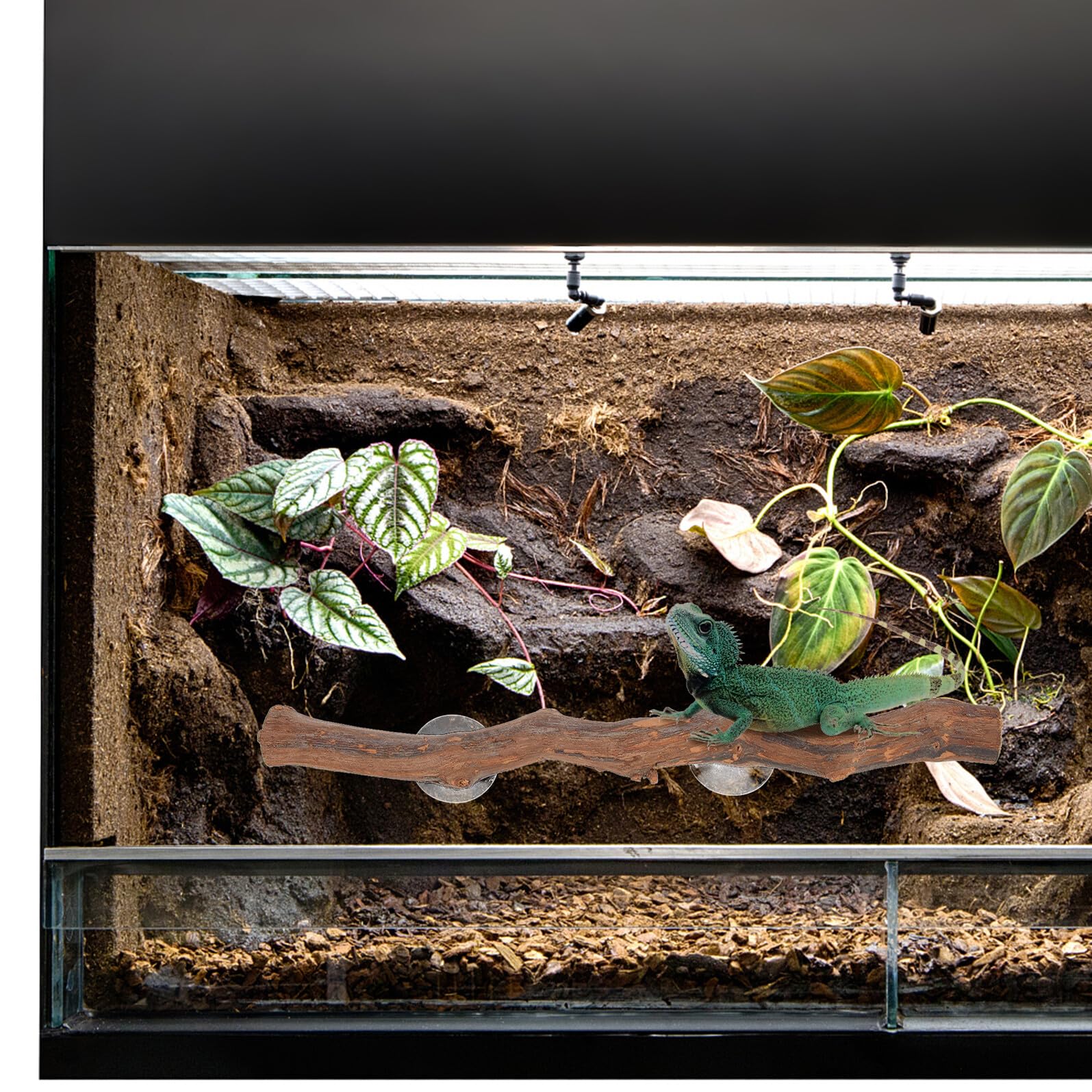 VANZACK Accessori Per Rettili Supporto in Legno Per Lucertole Decorazione Per Terrario Ramo Per Arrampicarsi Giocattolo Per Terrario Arredo Per Gabbia Esercizio Per Rettili Sviluppo