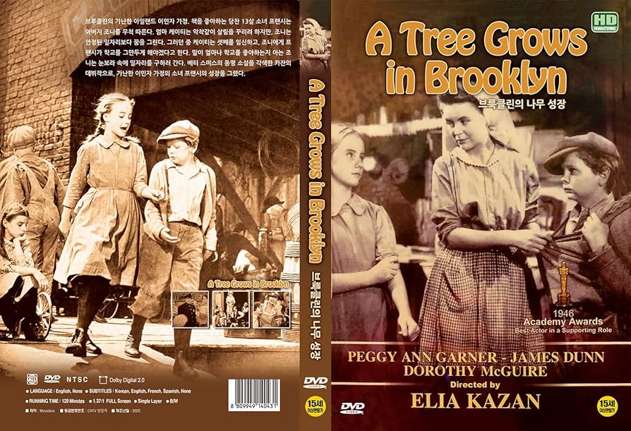 ブルックリン横丁 [DVD] Amazon.co.jp: ブルックリン横丁 [DVD] : ペギー・アン