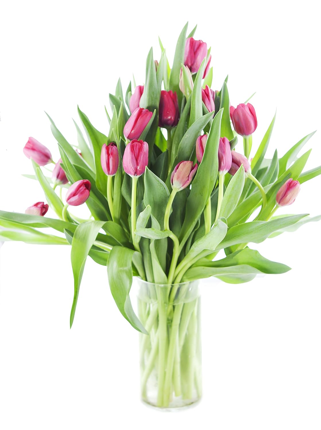 Red Tulip Bouquet (30 Stems) - The KaBloom Collection Flowers With Vase
