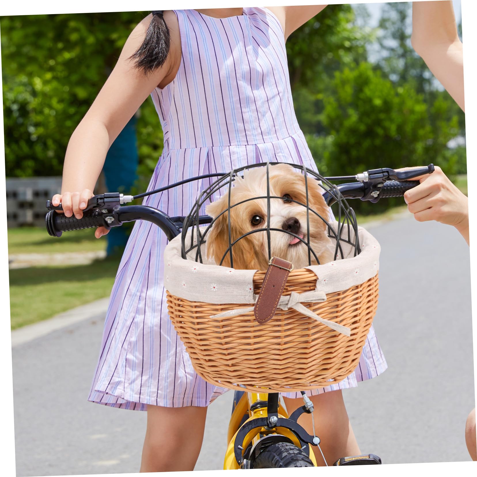 Cesta para Bicicleta con Estructura Metálica Desmontable Resistente Gran Capacidad para Transportar Perros y Gatos con Sistema de Montaje Rápido y Soporte Duradero