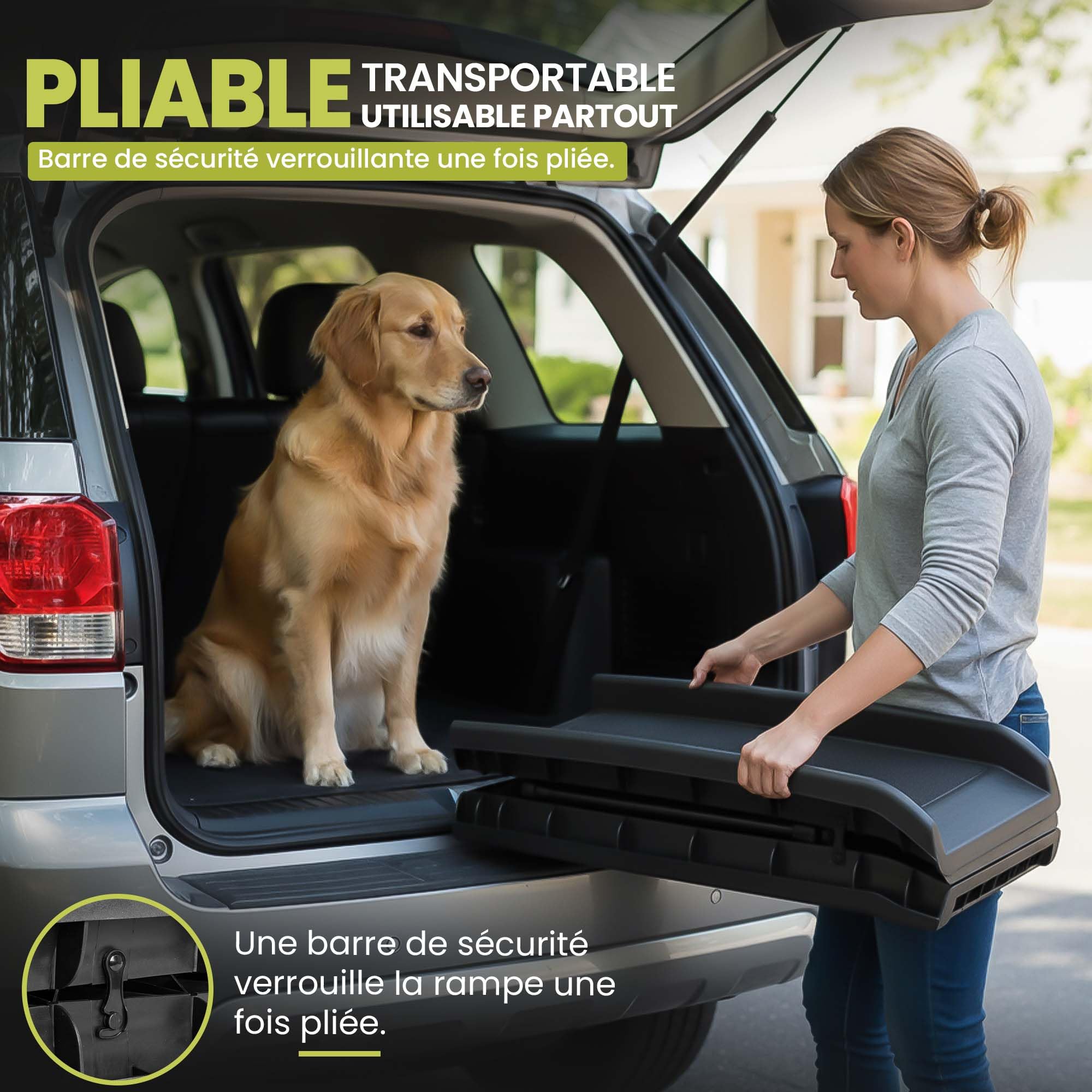 all Pets United® Rampe pour Chien et Chat Pliable Aide à l'entrée dans Le Coffre Escalier pour Animaux domestiques pour Grands et Petits Animaux (Rampe)