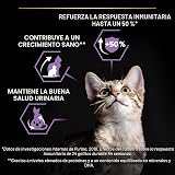 Ver la foto 3