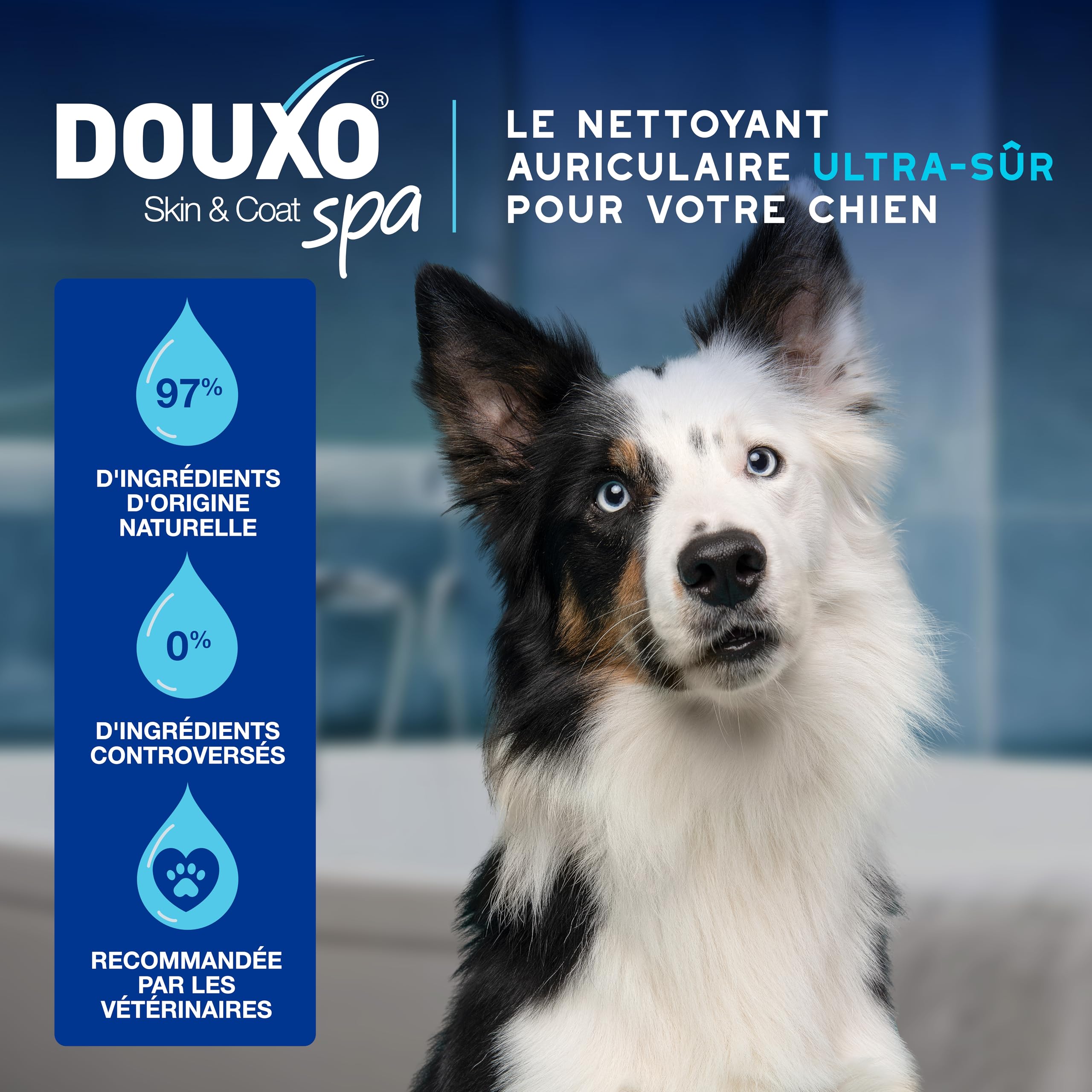 DOUXO Skin & Coat Spa - Ultra-Safe nettoyant auriculaire pour Chiens et Chats, 120 ML, nettoie l'oreille en Toute sécurité, Formule respectueuse de la Peau.