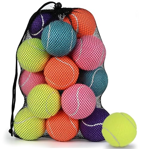 INSUM Tennis Balls Dogs 2.5 20