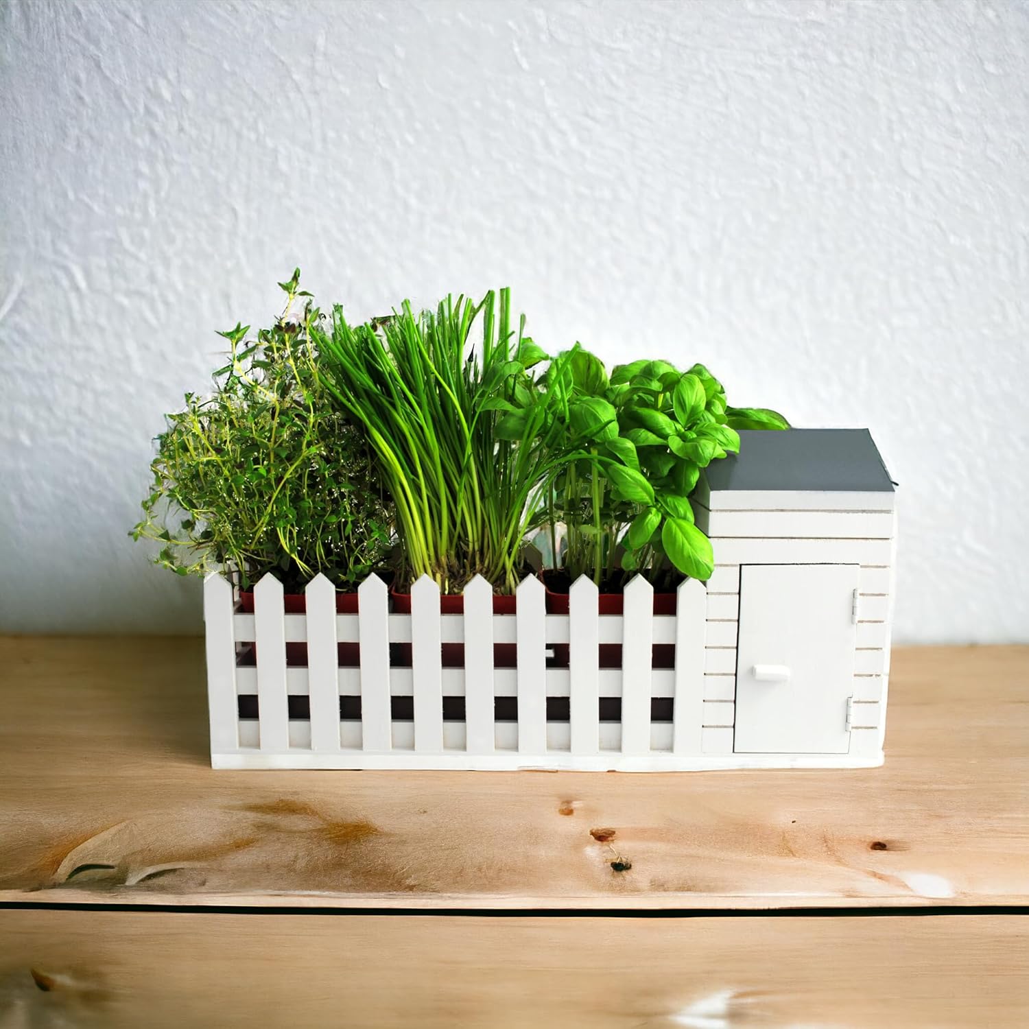 Oliphant Indoor Allotment Gift Set Herb Garden
